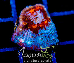 JF RED HELLSPAWN CHALICE