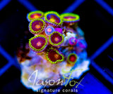 JF SPITFIRE ZOAS