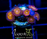 JF MOHICAN SUNS PALYS