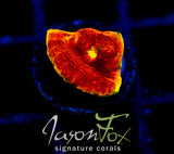 JF FIREFIGHTER RAINBOW CHALICE