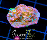 JF WHITE ZOMBIE CHALICE