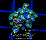 JF SKY BLUES ZOAS