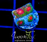 JF OUTER ORBIT CHALICE
