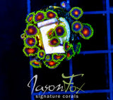 JF DRAGON EYES ZOAS