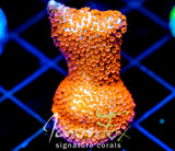 JF SUNTAN DIGI