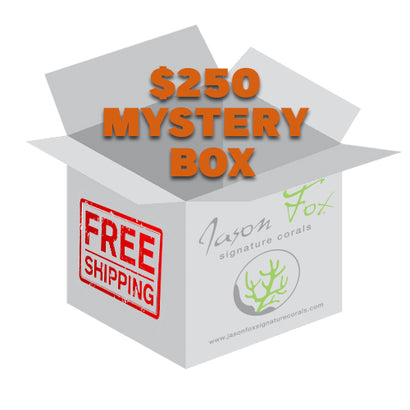 JF MYSTERY BOX (6 mixed frags)