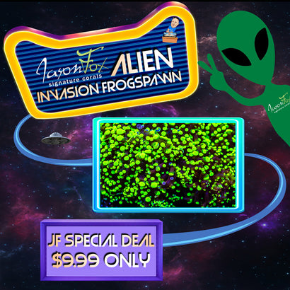 JASON FOX ALIEN INVASION FROGSPAWN ( LIMIT 1 - MUST BUY ANOTHER CORAL FROM THE WEBSITE TO GET THE $9.99 DEAL )