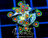 JF DRAGON EYES ZOAS
