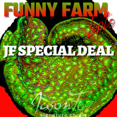 JASON FOX FUNNY FARM LEPTO( LIMIT 1 - MUST BUY ANOTHER CORAL FROM THE WEBSITE TO GET THE $9.99 DEAL )