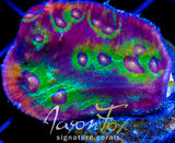 JF PINKEY PIE CHALICE