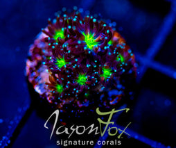 JF ALIEN EYE GALAXIA