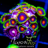 JF DRAGON EYES COMBO