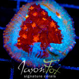 JF RED HELLSPAWN CHALICE