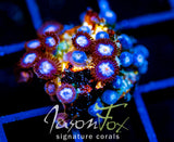JF ZOAS NEED NAME