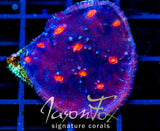 JF RED EYE CHALICE NEED NAME