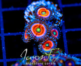 EVERLASTING GOBSTOPPERS PALYS