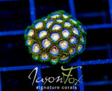 CC LAZER LEMONS ZOAS