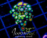 JF DRAGON EYES COMBO