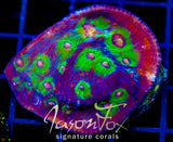 JF PINKEY PIE CHALICE XL FRAG