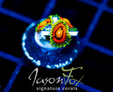 JF RAINBOW INCINERATORS ZOAS