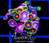 JF DRAGON EYES COMBO