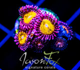 JF MOHICAN SUNS COMBO