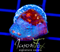 JF RED HELLSPAWN CHALICE