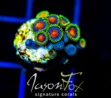 JF DRAGON EYES ZOAS