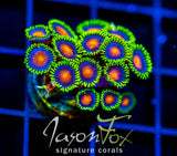 JF DRAGON EYES ZOAS