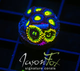 WWC AOI ZOAS COMBO
