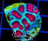 JF FIERY RED FAVIA