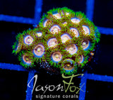 CC LAZER LEMONS ZOAS