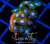 JF STARGAZERS ZOAS COMBO