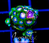 JF LAZER LEMONS ZOAS COMBO