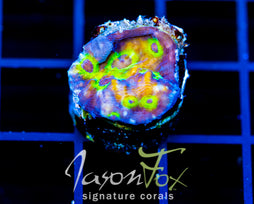 JF UFO CHALICE