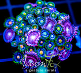 JF ZOA BOUQUET XL FRAG