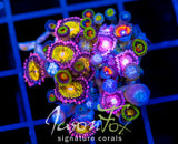 JF ZOA BOUQUET XL FRAG