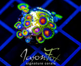 JF DRAGON EYES ZOAS