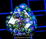 JF ZOA BOUQUET