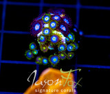 JF COSMIC ECLIPSE ZOAS