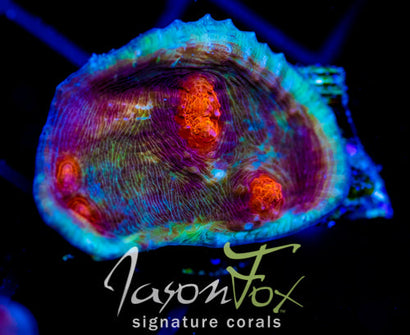 WWC SPACE BALLS CHALICE