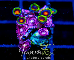 JF DRAGON EYES COMBO