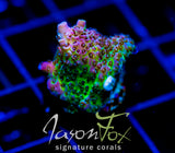 JF STRAWBERRY WINE ACRO