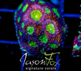 JF GRAFFITI ROAD ECHINATA