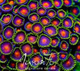 JASON FOX DRAGON EYES PALYS